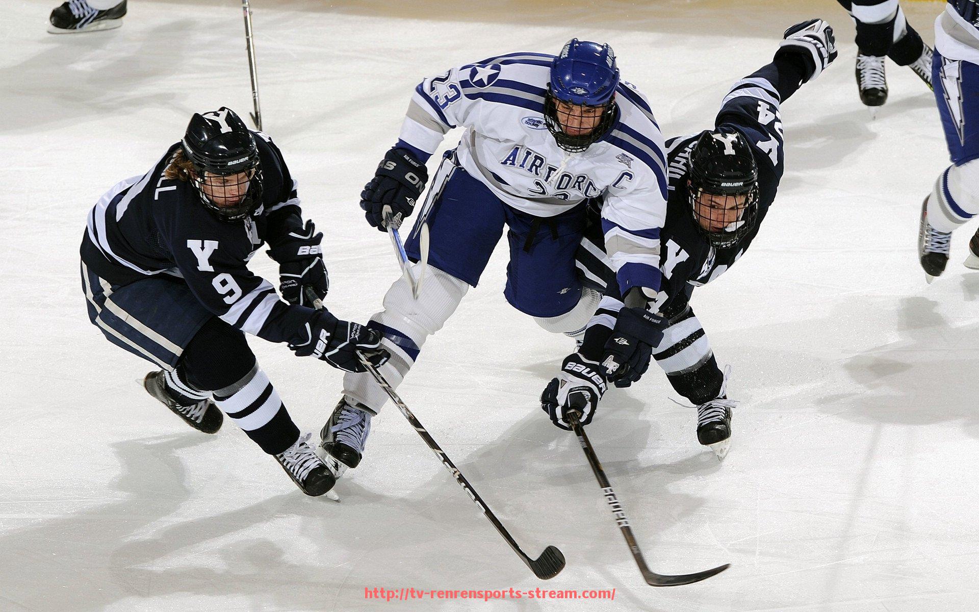 人人体育直播-世俱杯社群运营规则实例与粉丝参与规范说明
